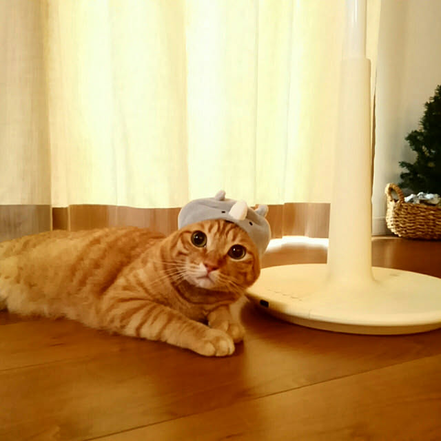 mayutan.さんの実例写真