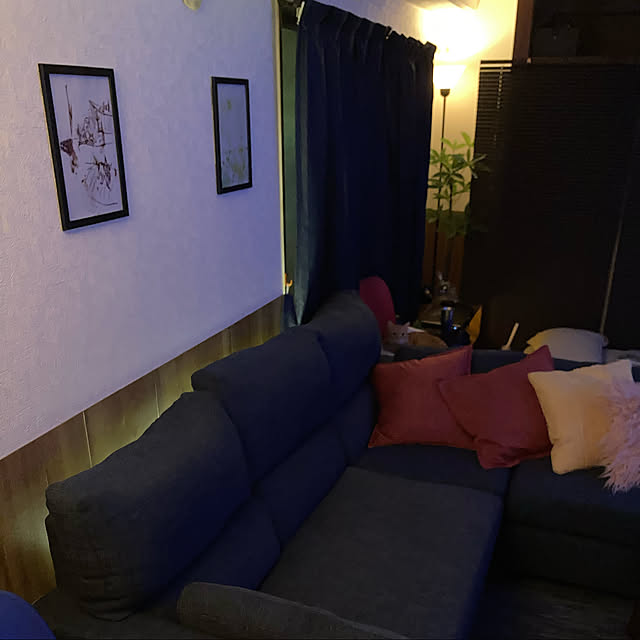 garatoraさんの実例写真