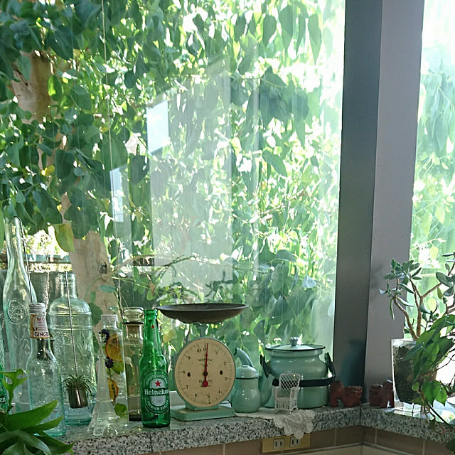 kimiさんの実例写真