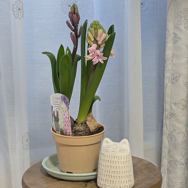 minnieさんの部屋