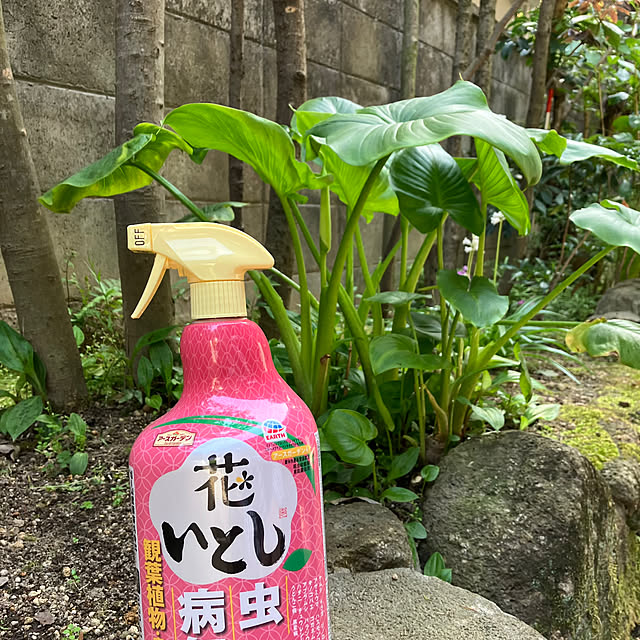 lalaさんの実例写真