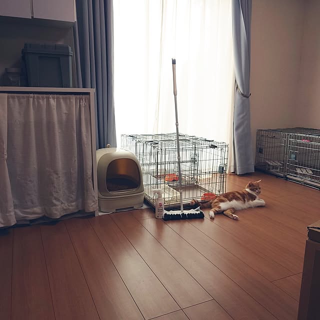 noguriさんの実例写真