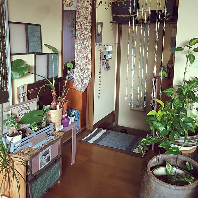 Norikoさんの実例写真