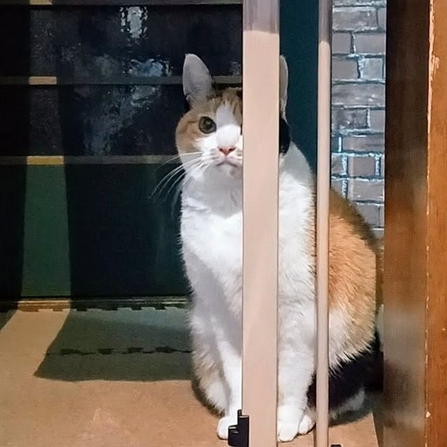 nanaさんの部屋