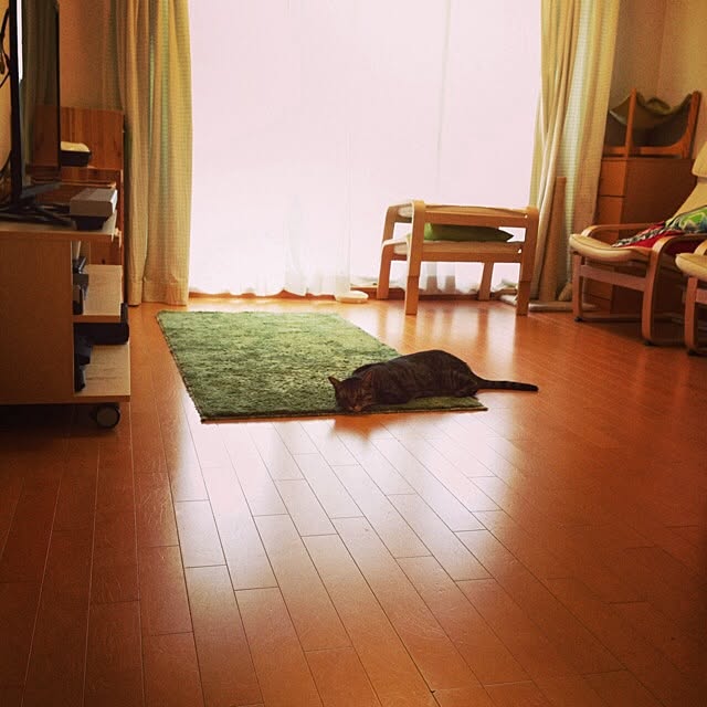 achanさんの実例写真
