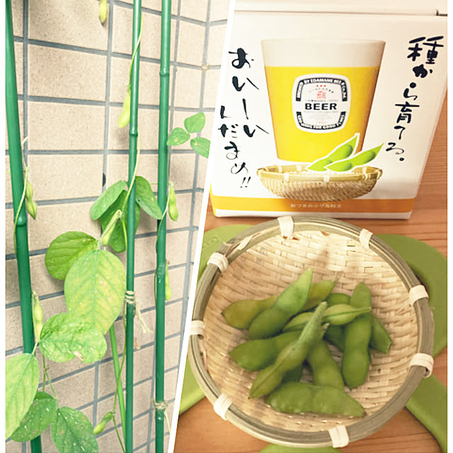 yuzuさんの実例写真