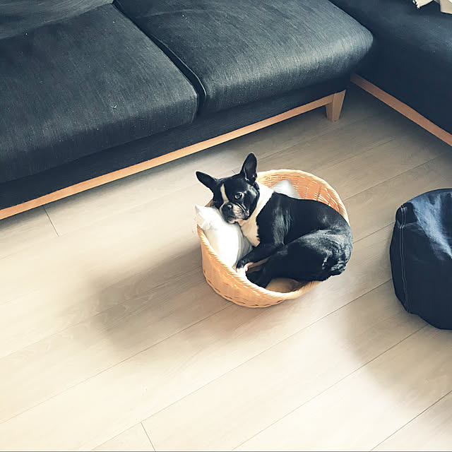 pyonさんの実例写真