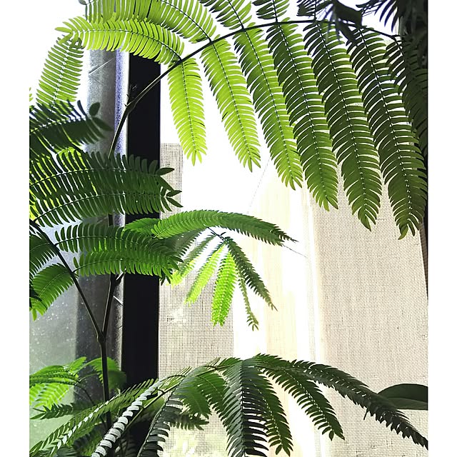 tomokaさんの実例写真