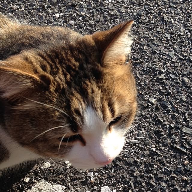 kimikoさんの実例写真