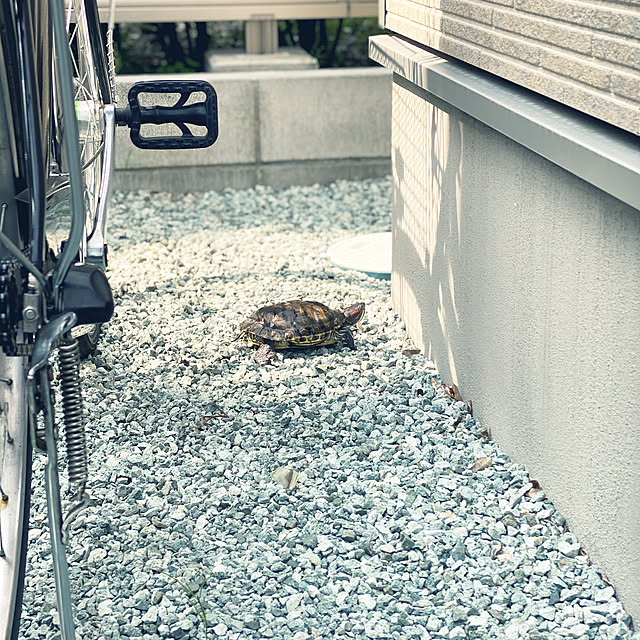 mhomemさんの実例写真