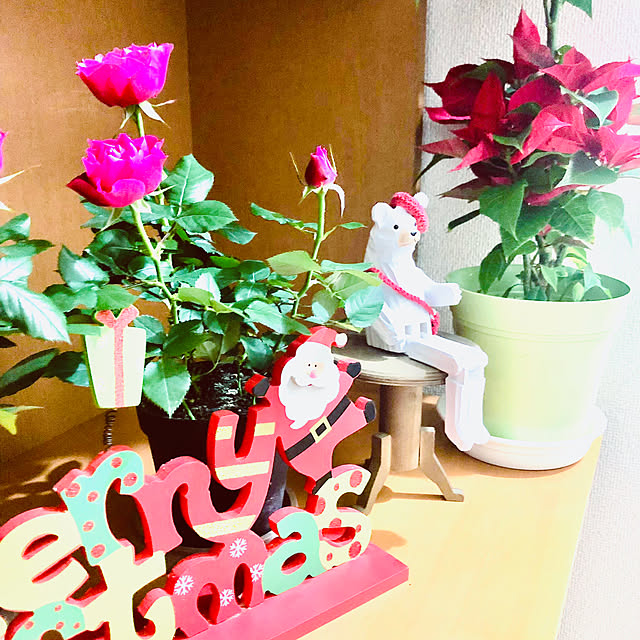 hanachanさんの部屋