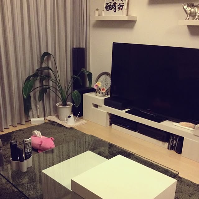 ISOさんの実例写真