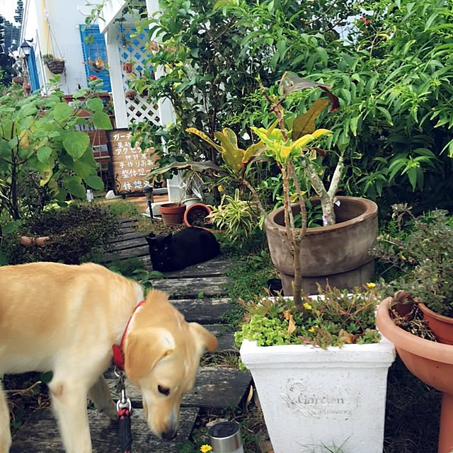 RIONさんの実例写真