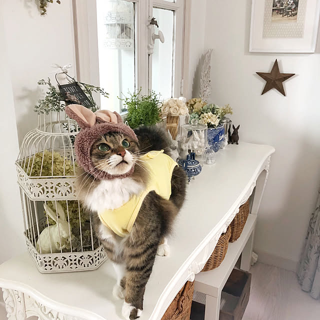 yuchiさんの実例写真