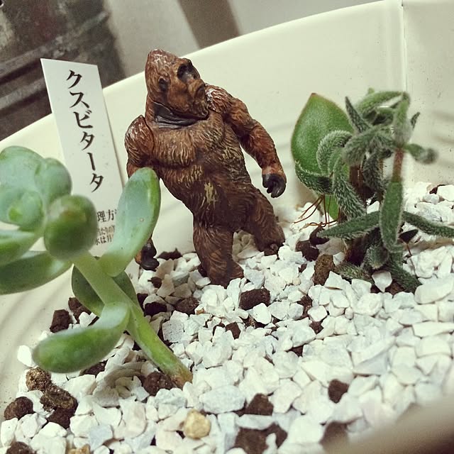 M29さんの実例写真