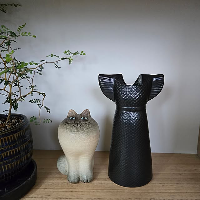 mayumiさんの実例写真