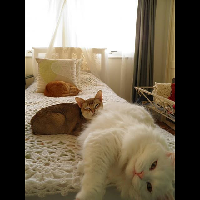 Hgmcfさんの実例写真