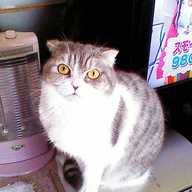 tosi66554さんの実例写真