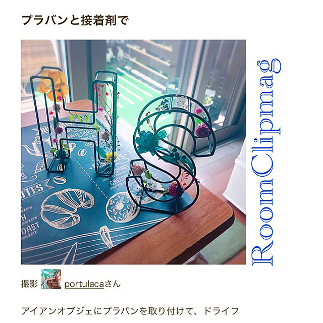 portulacaさんの実例写真