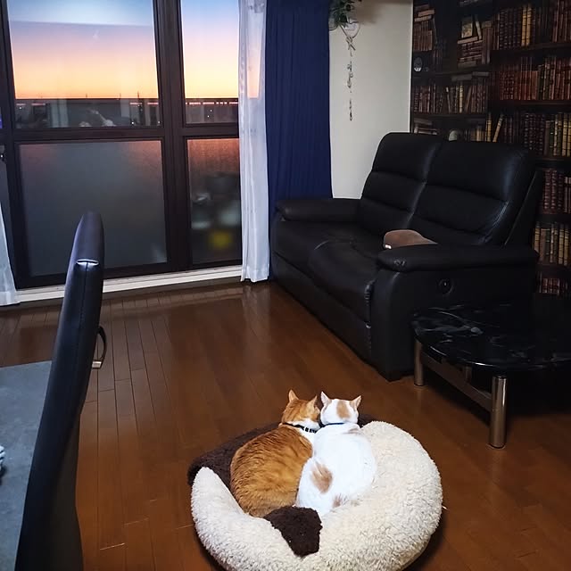 NOAHさんの部屋