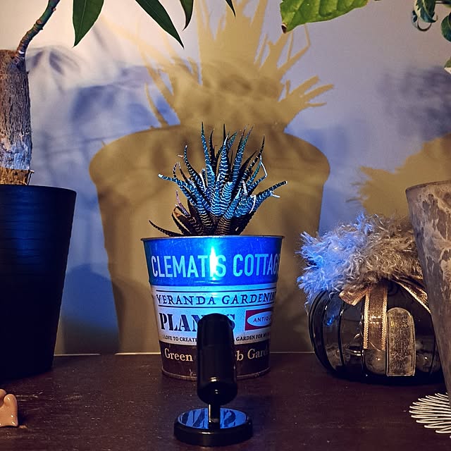 noaさんの実例写真