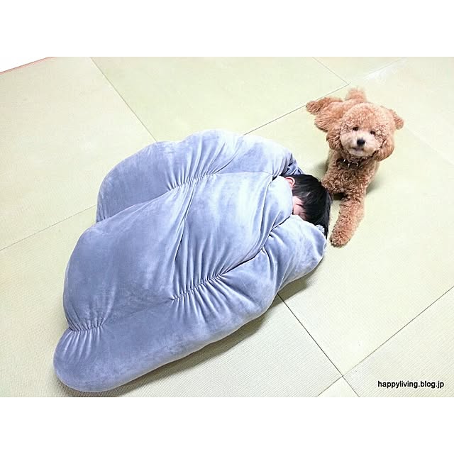 naoさんの実例写真