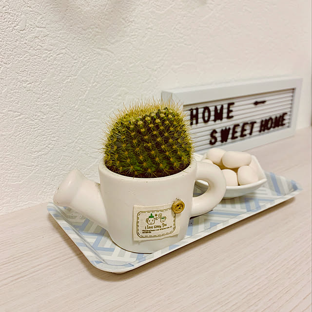 Justinaさんの実例写真