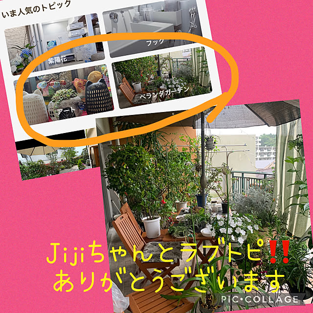 Aqettyさんの実例写真