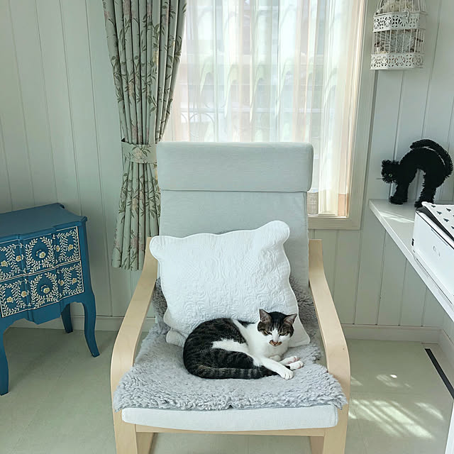 yuchiさんの実例写真