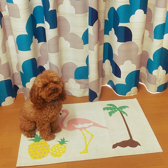 cherrycherryさんの実例写真