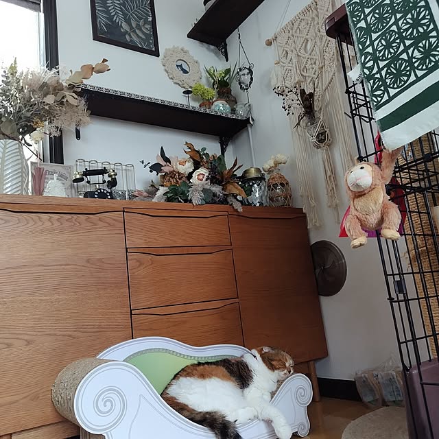 hiro3さんの部屋