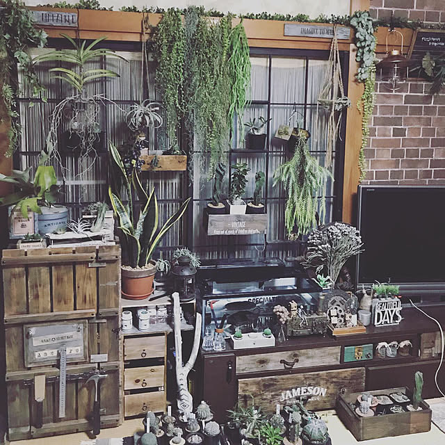 amさんの実例写真