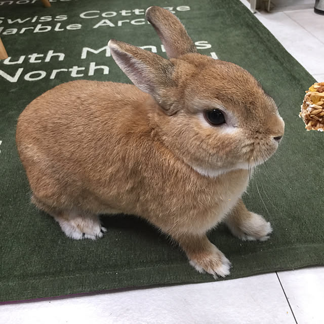 Yasuyukiさんの実例写真