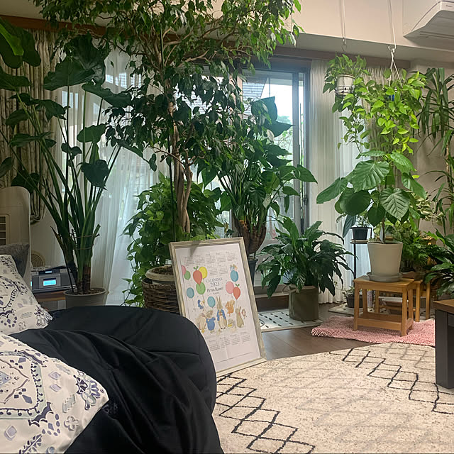 Aqettyさんの実例写真