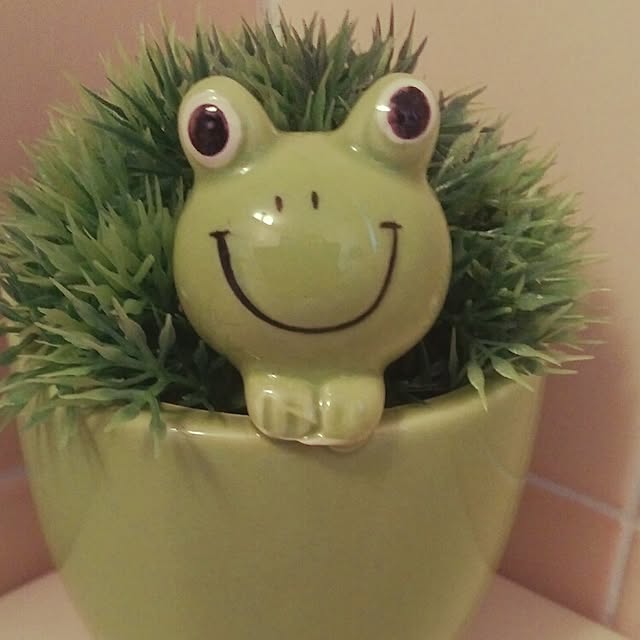 chayさんの実例写真