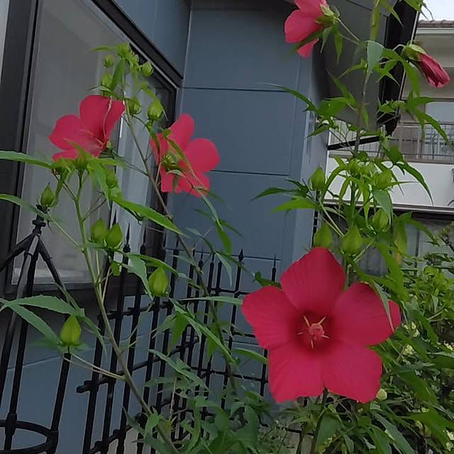 natsumiさんの部屋