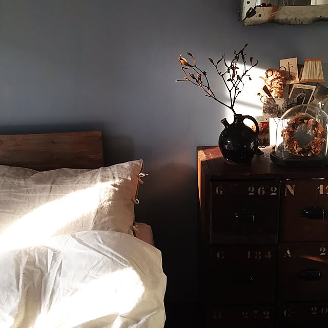 DailyRoomclip