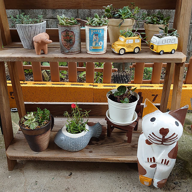 fukuさんの実例写真