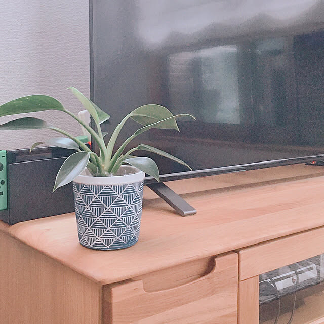 RoCoさんの実例写真