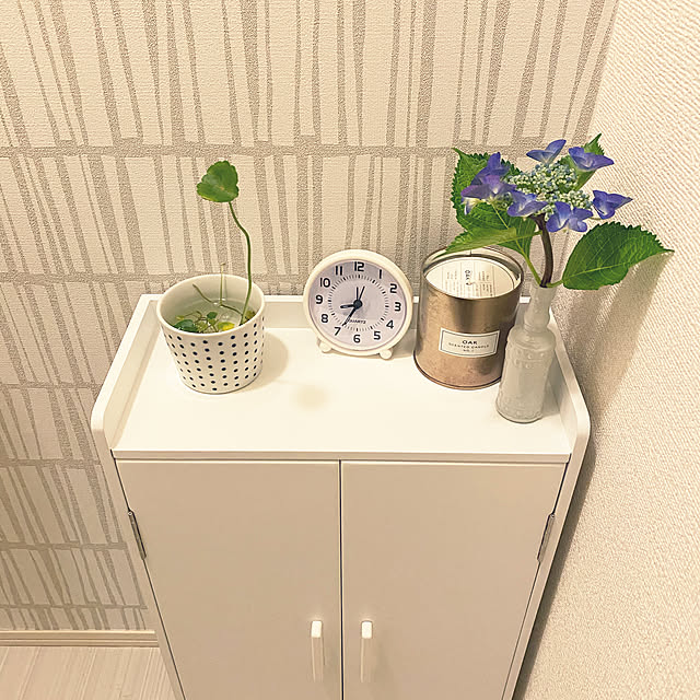 紫陽花/ウォーターマッシュルーム/D-room 賃貸/小瓶/バス/トイレのインテリア実例 - 2020-07-04 16:12:00
