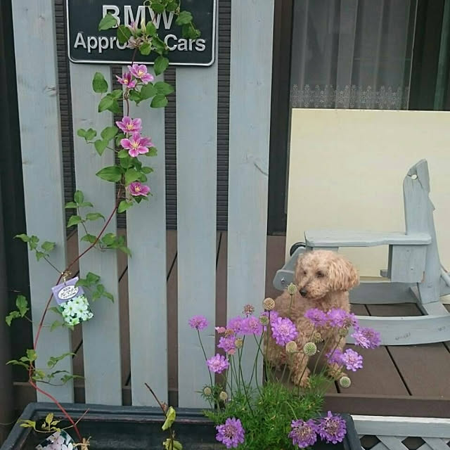 Leonさんの実例写真