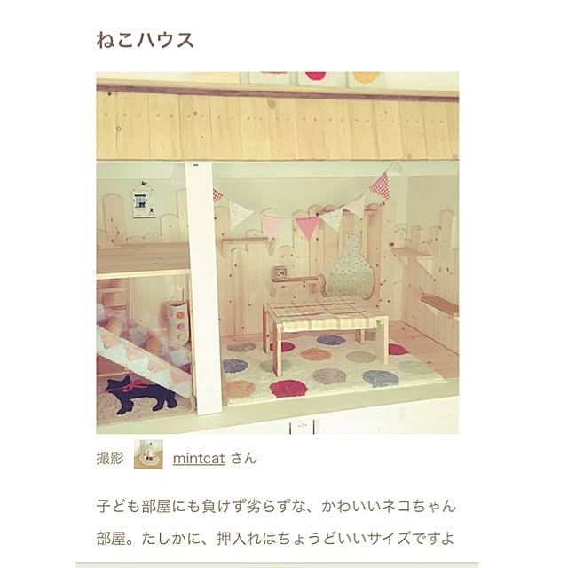 mintcatさんの実例写真