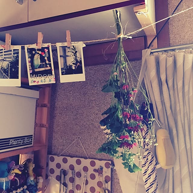 parrotさんの実例写真