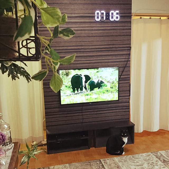 kabosuさんの実例写真