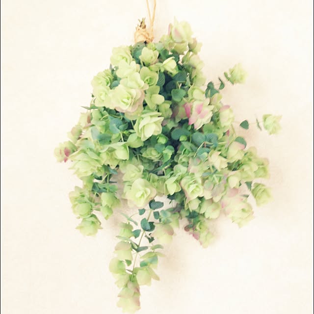 greengreengreenさんの実例写真