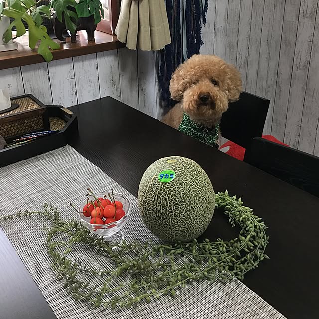 ronmaruさんの実例写真