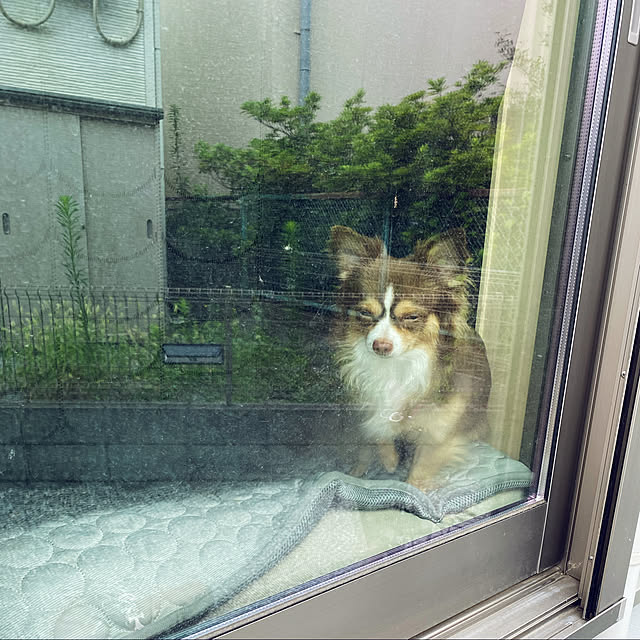 chocoさんの実例写真