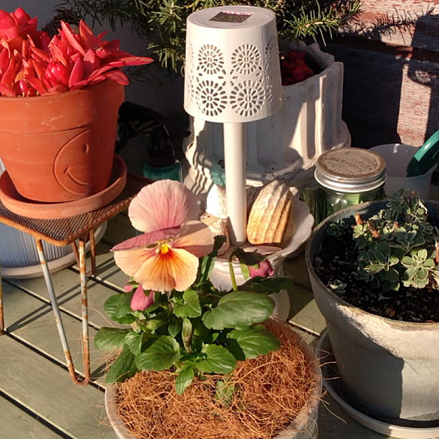 Malamaさんの実例写真