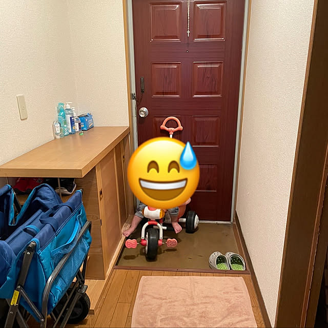 liontigerさんの実例写真
