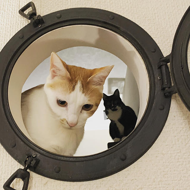 ____Mukさんの実例写真